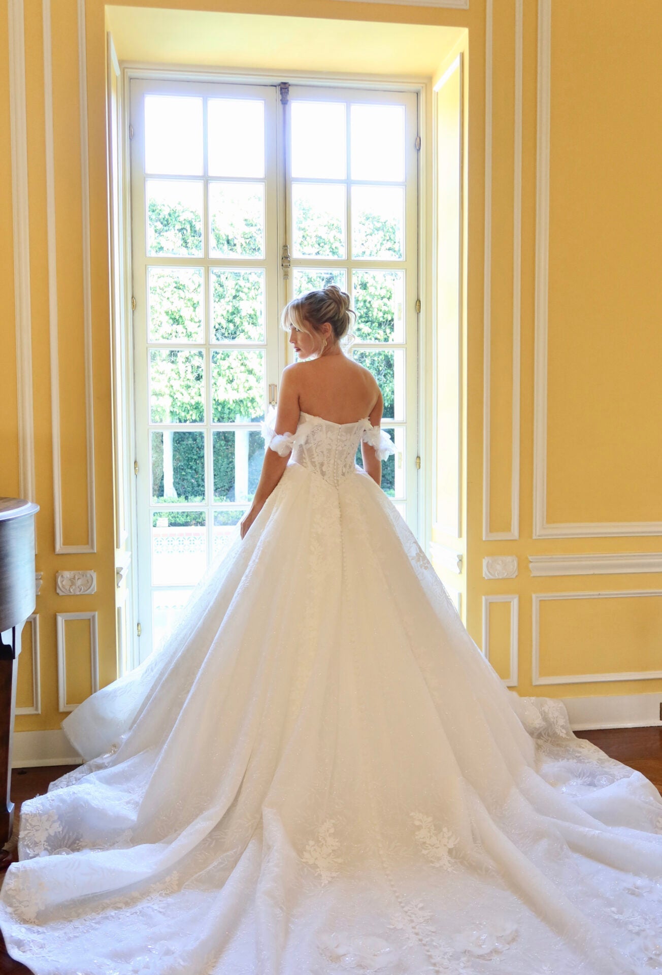 Back Of Martina Liana Ballgown
